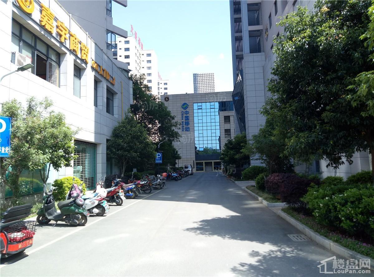 颐林尚都实景图