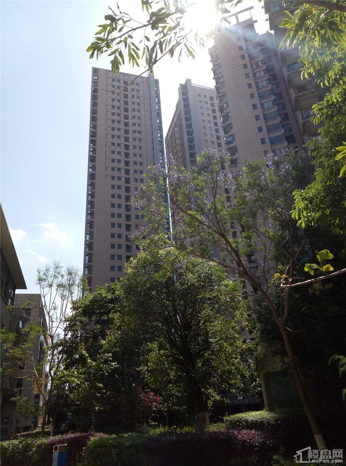 颐林尚都实景图