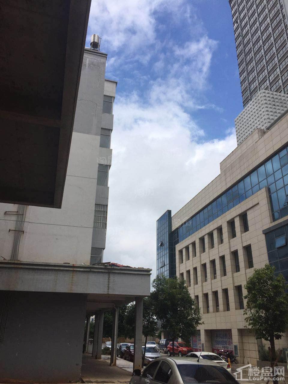 颐林尚都实景图