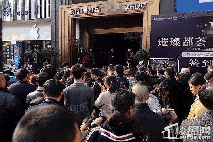 德信碧桂园观澜苑实景图