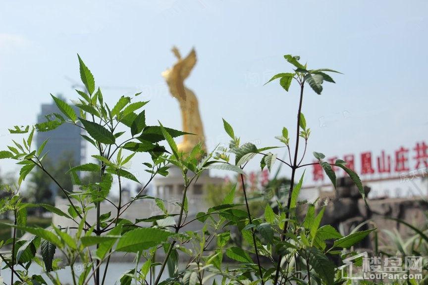 配套图