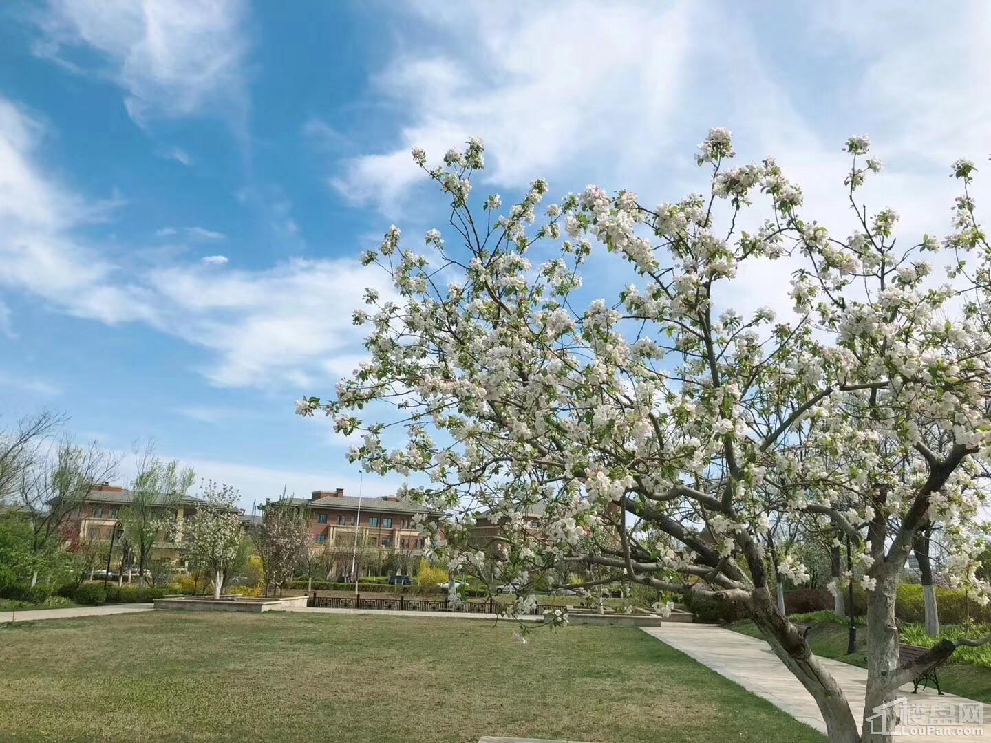 泊湖林奇郡实景图