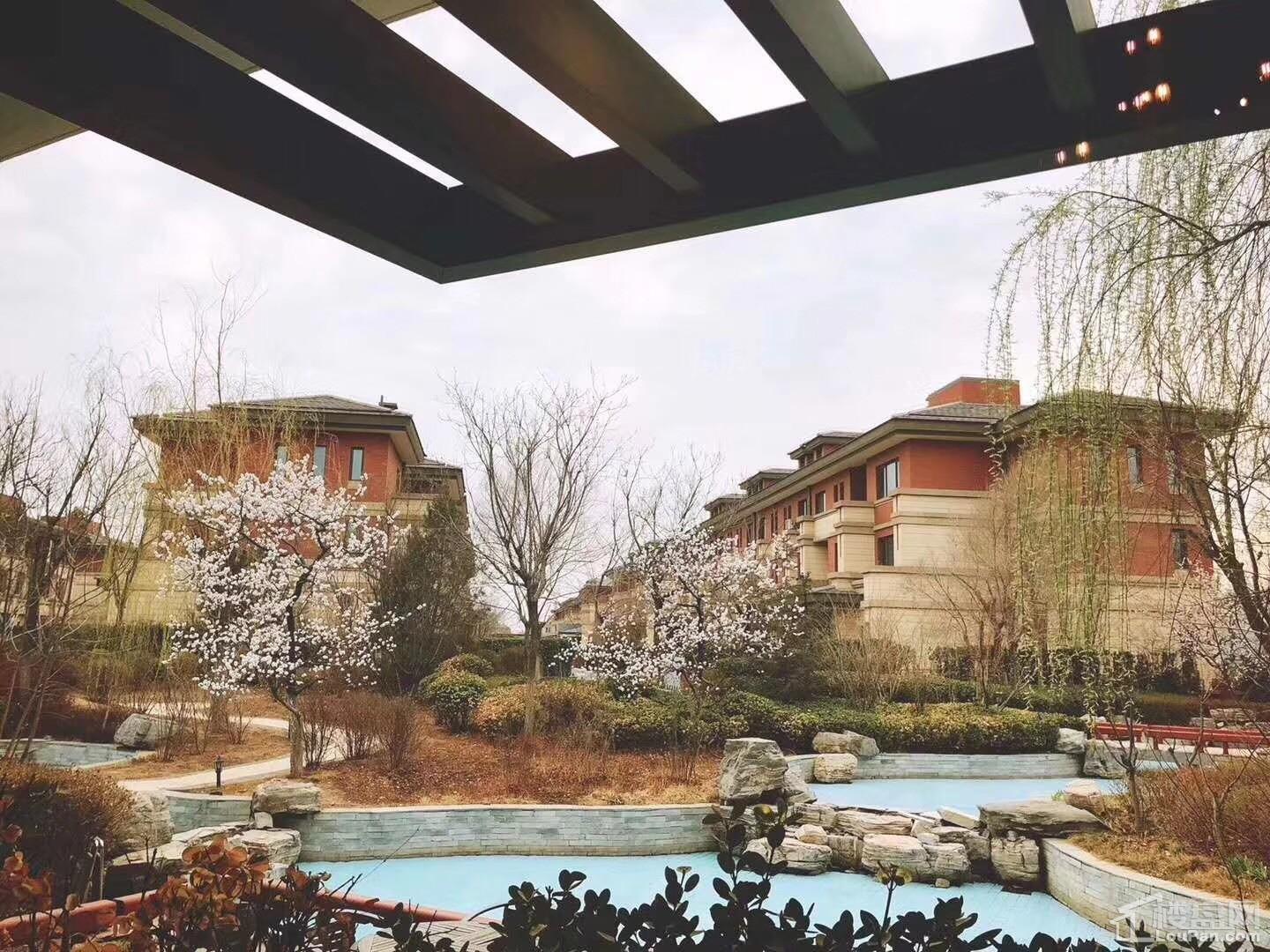 泊湖林奇郡实景图