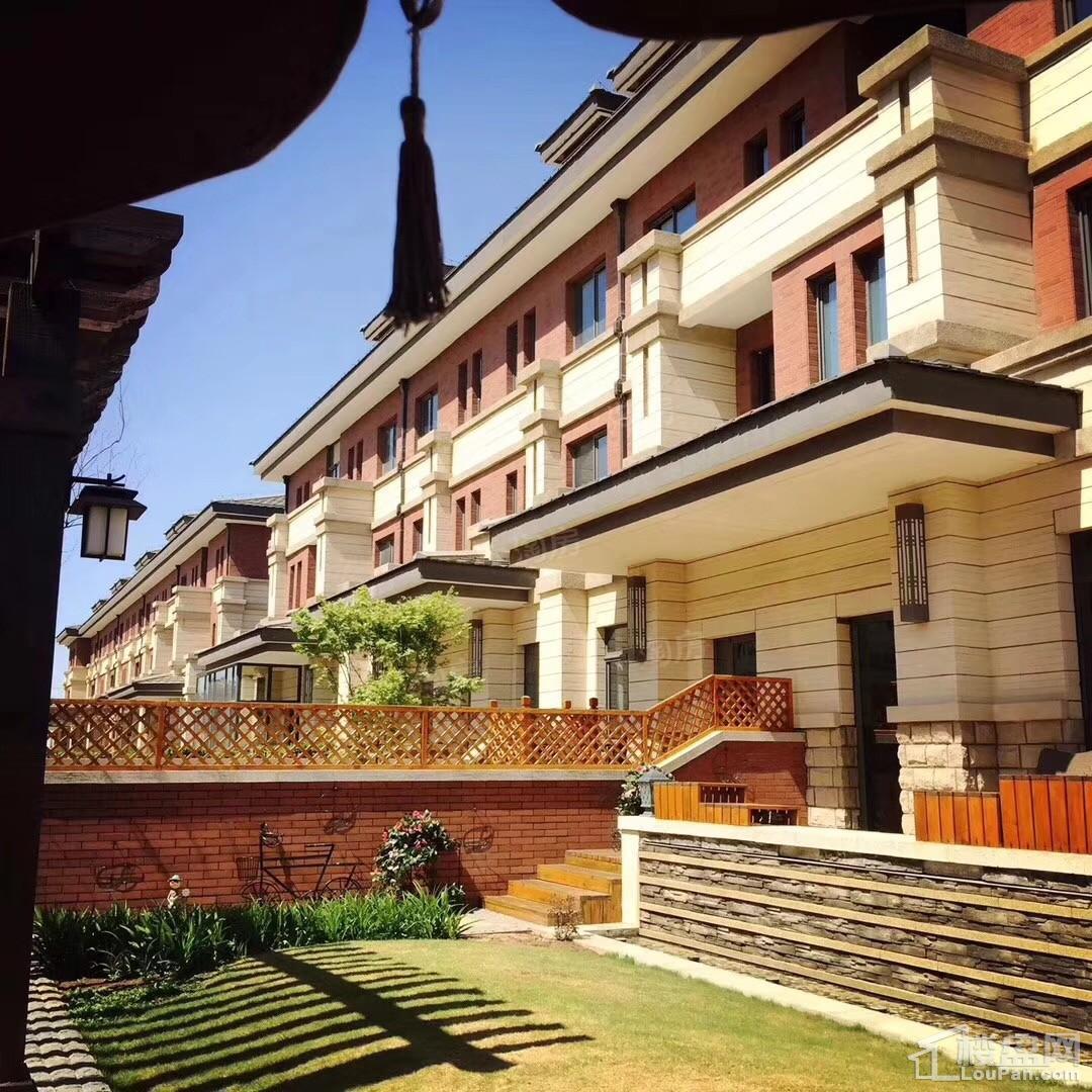 泊湖林奇郡实景图