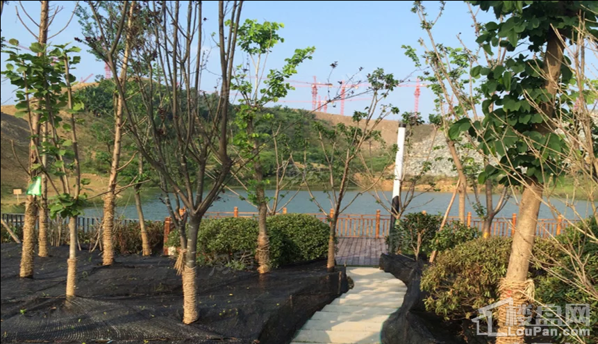 鹏润鹿山台实景图