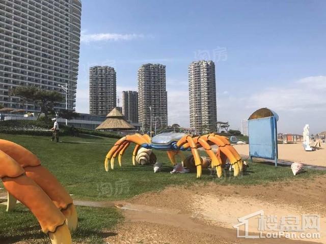 实景图