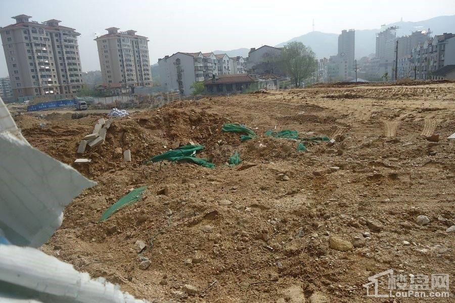 万科中南府实景图