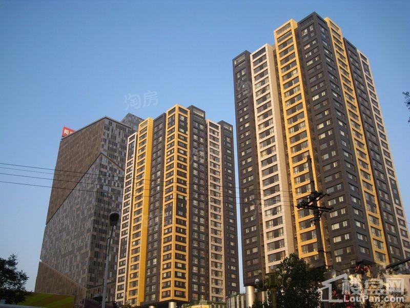 实景图