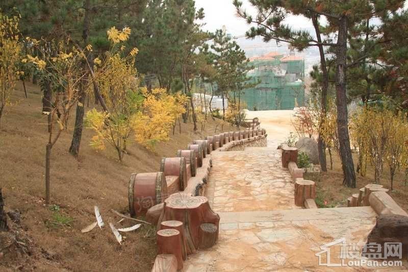 配套图
