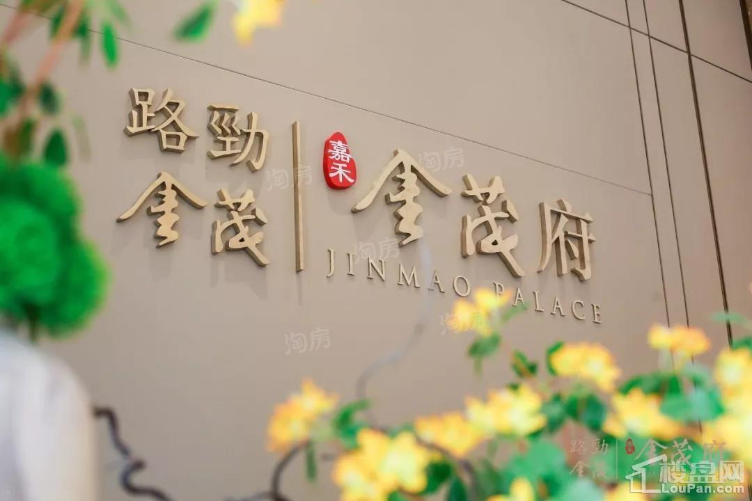 实景图