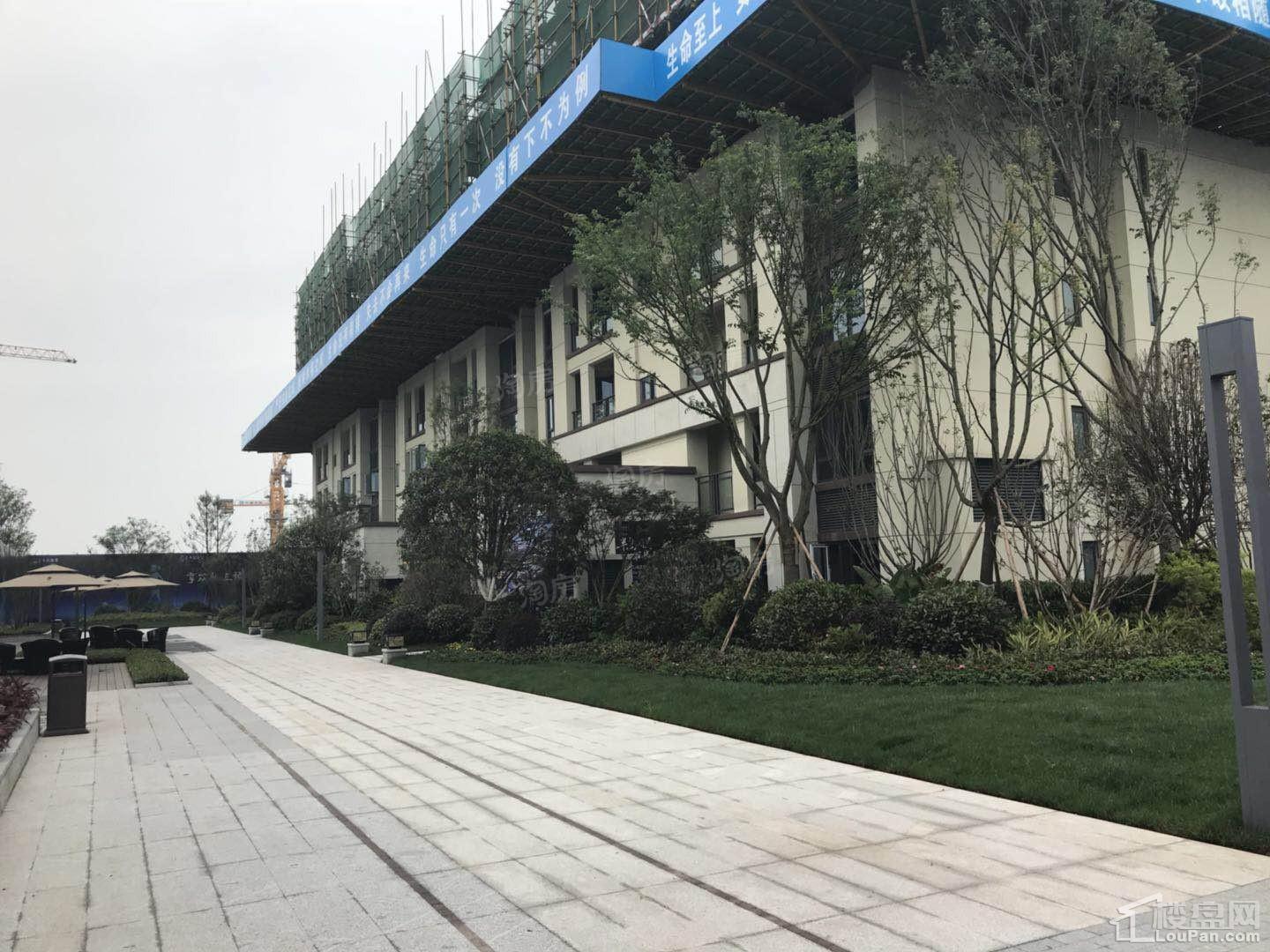中洲半岛城邦实景图
