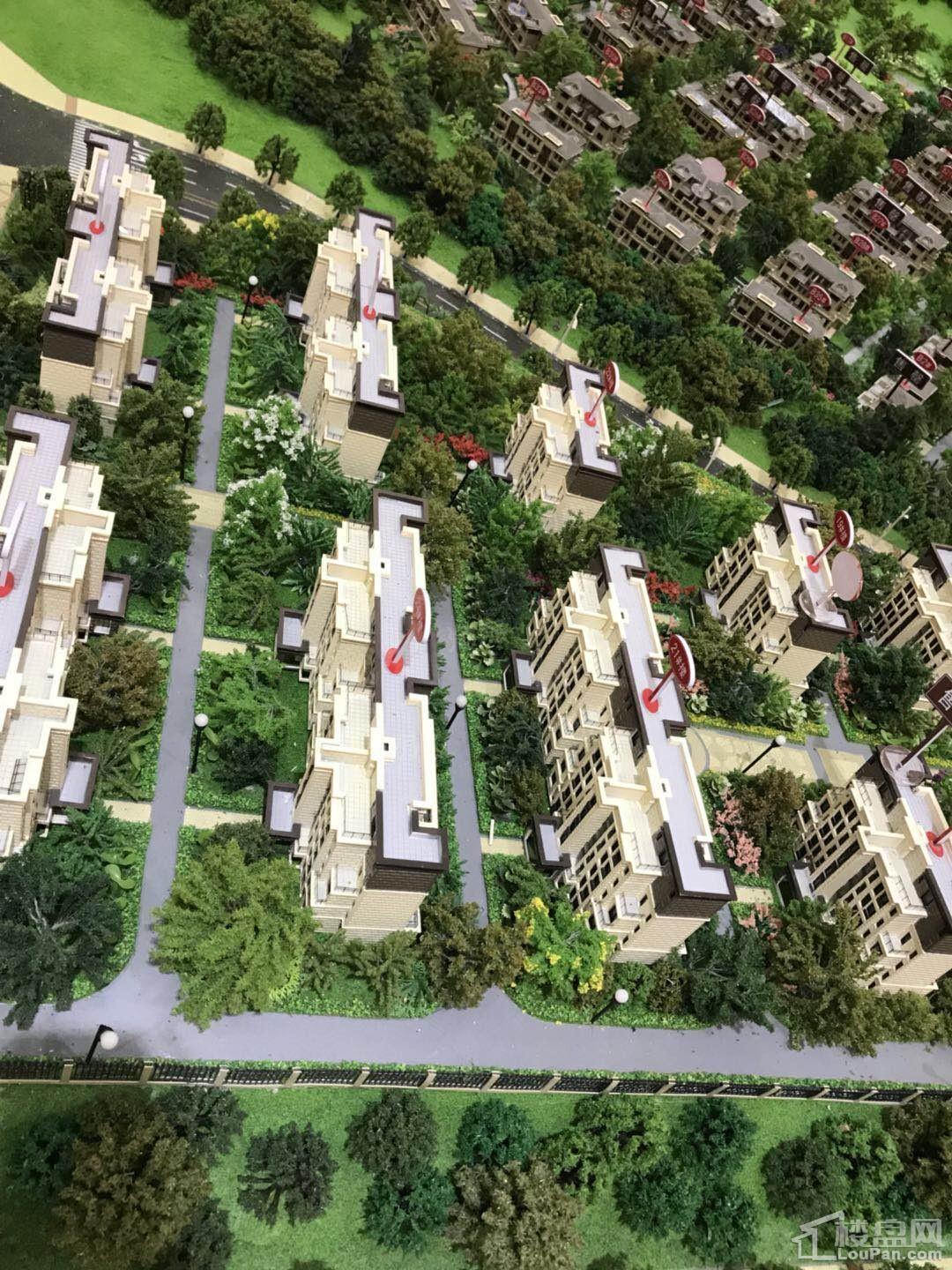 中洲半岛城邦实景图