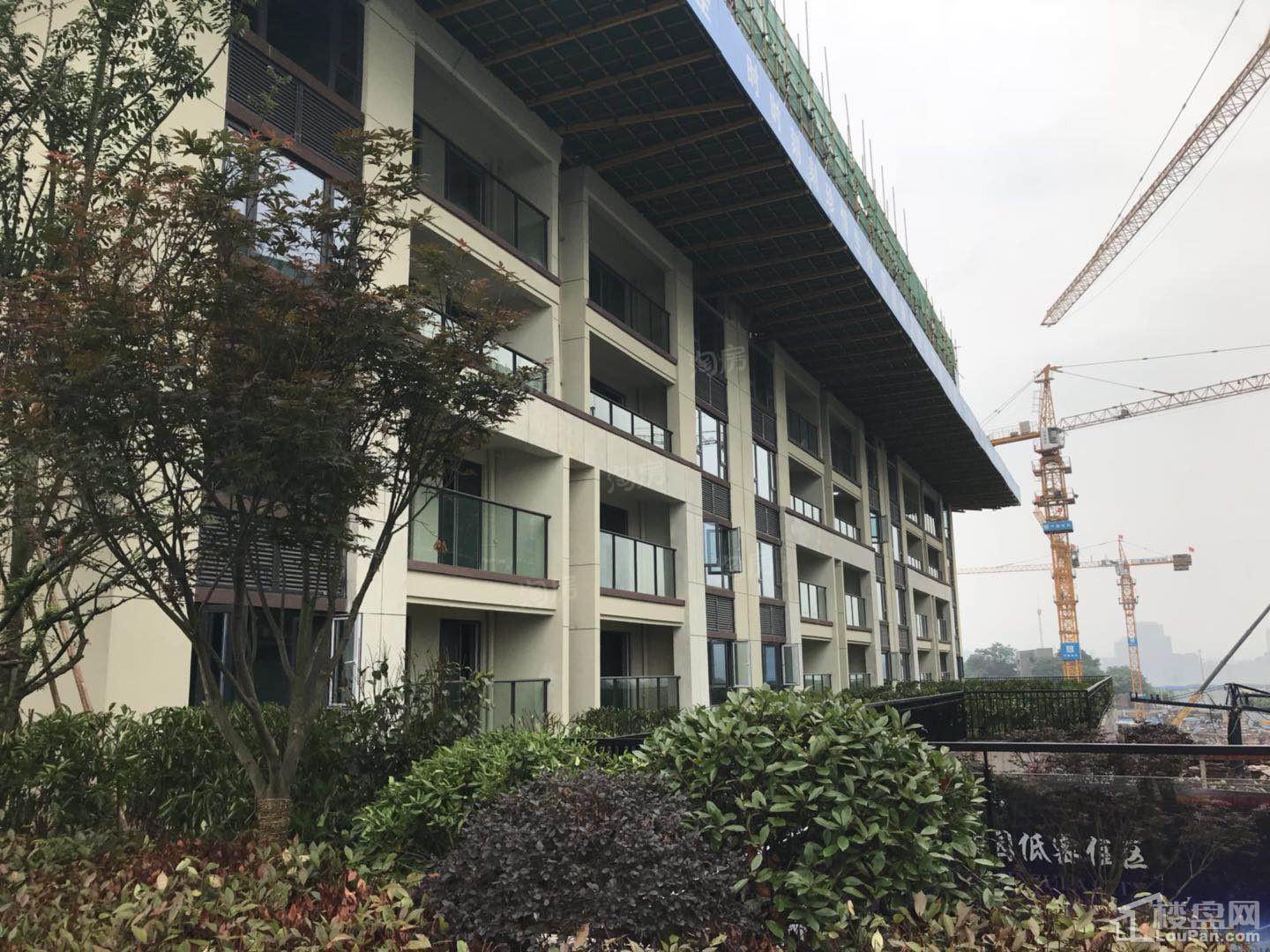 中洲半岛城邦实景图
