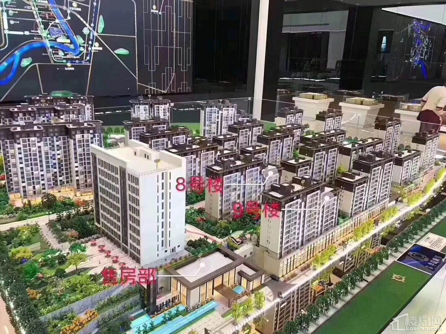 中洲半岛城邦实景图