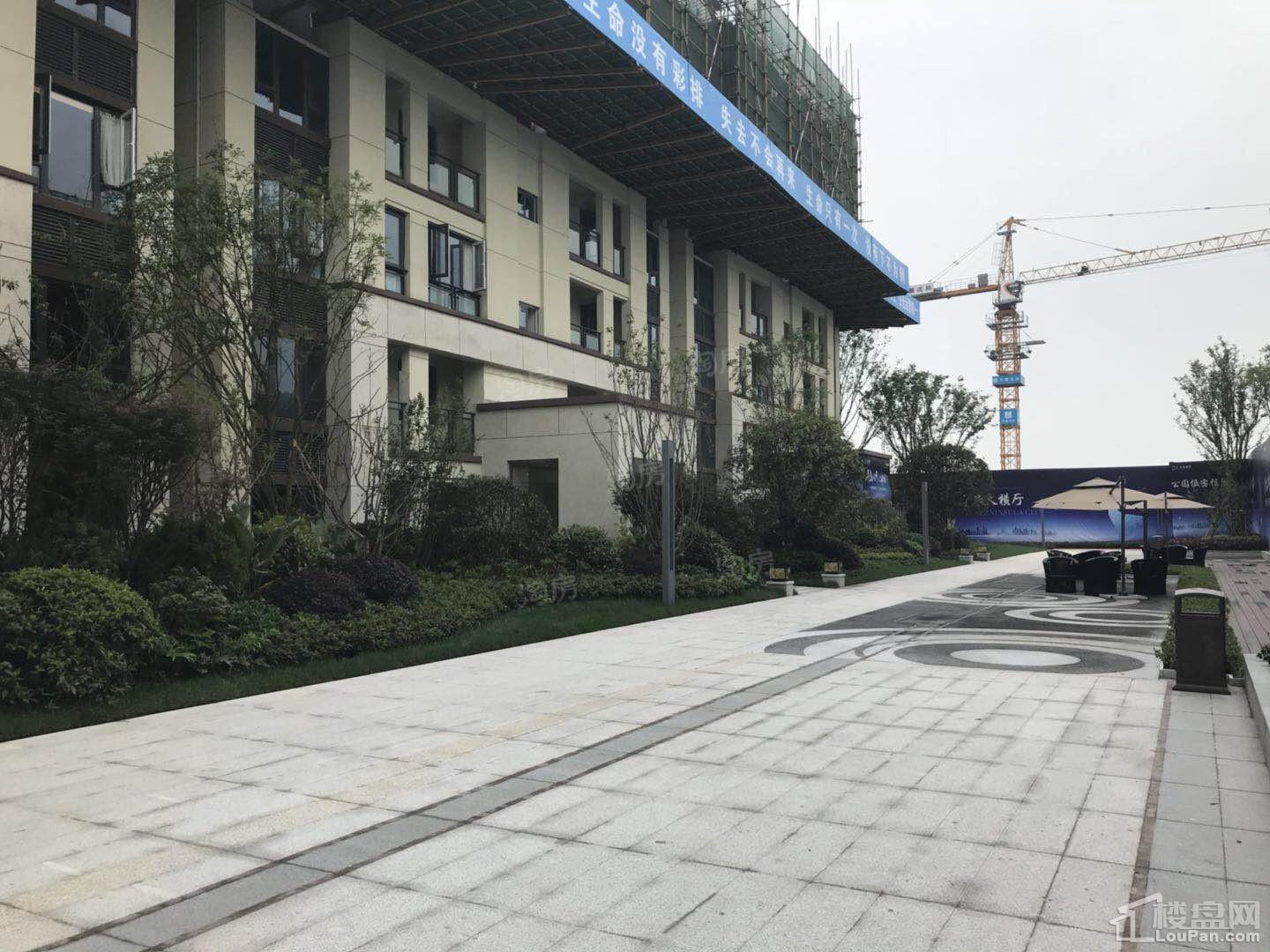 中洲半岛城邦实景图