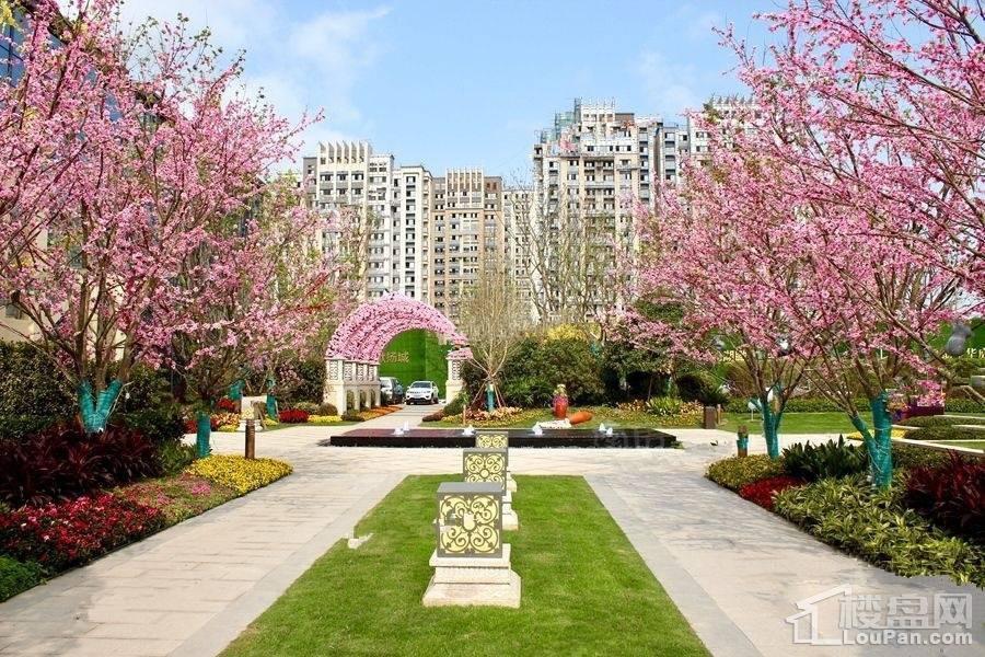恒大翡翠华庭实景图