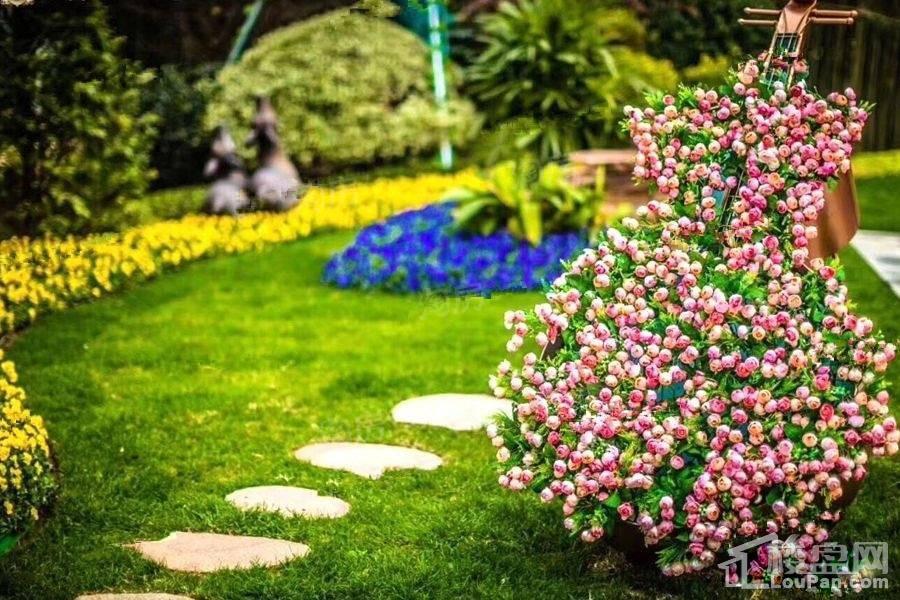 恒大翡翠华庭实景图