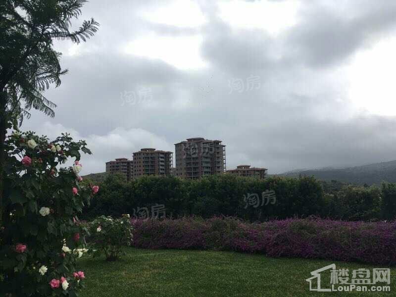 抚仙湖欢乐大世界实景图