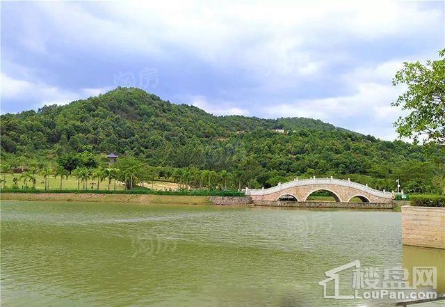 正兆·千树晴山配套图