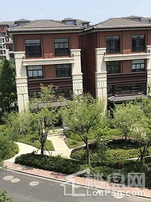 汇智津园实景图