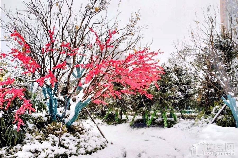 恒大华府实景图