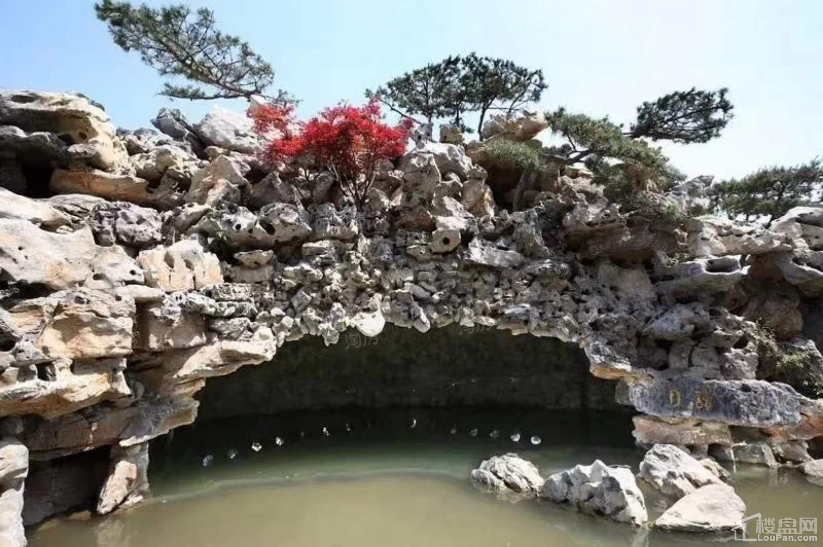 汇智津园实景图