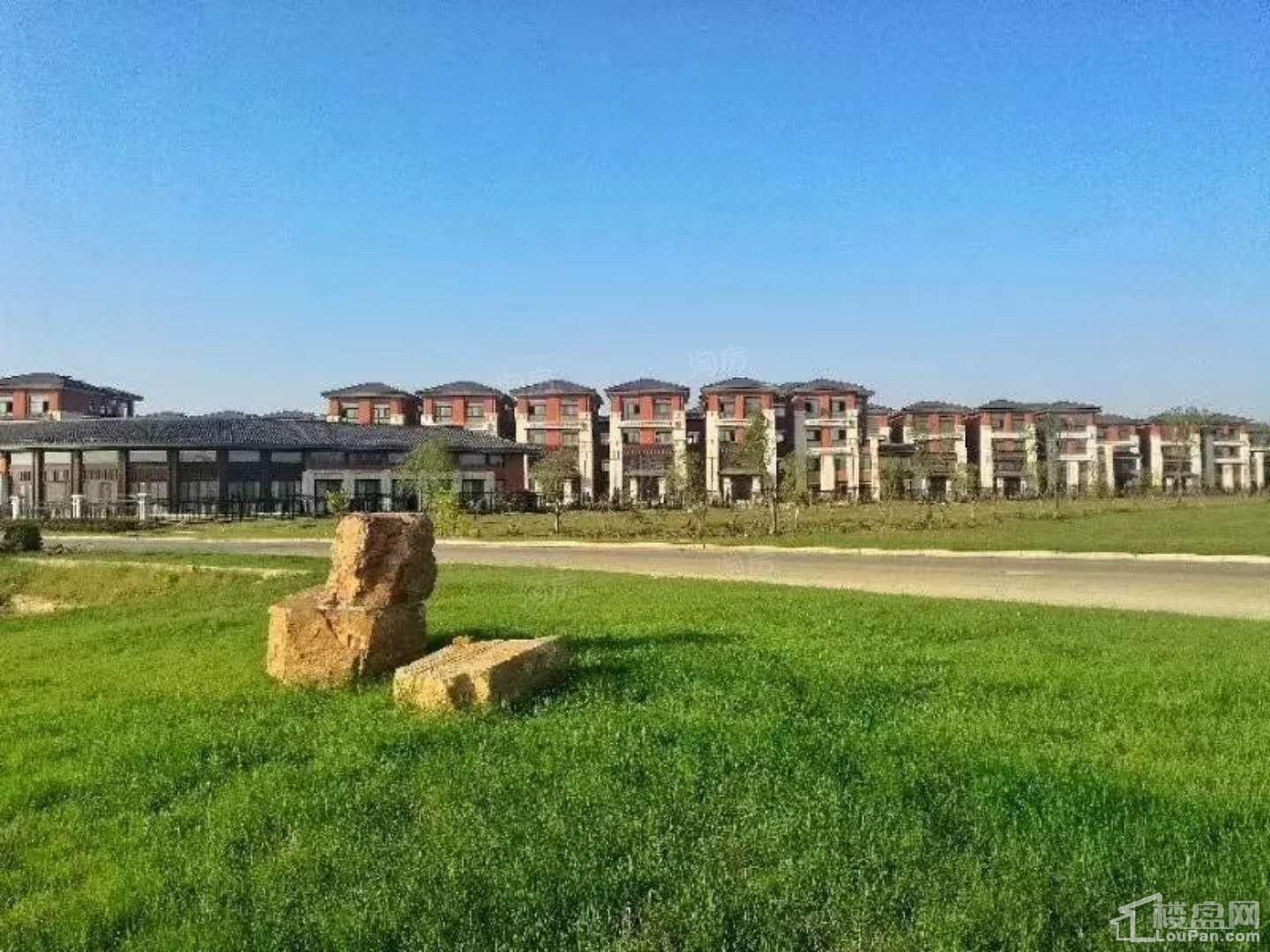 汇智津园实景图