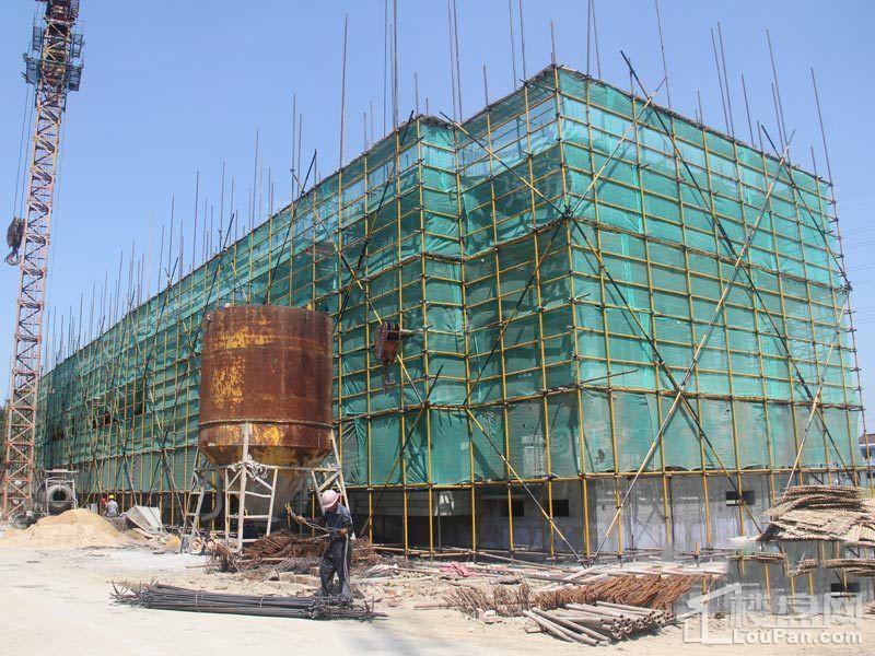 嘉怡丽景花园实景图