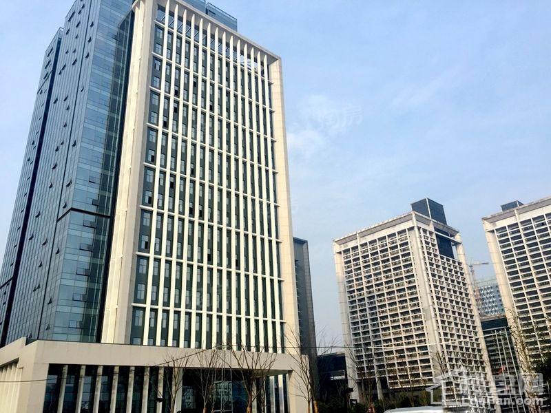 星耀天地实景图