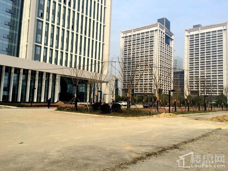 星耀天地实景图