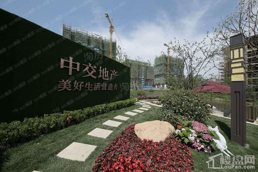 实景图