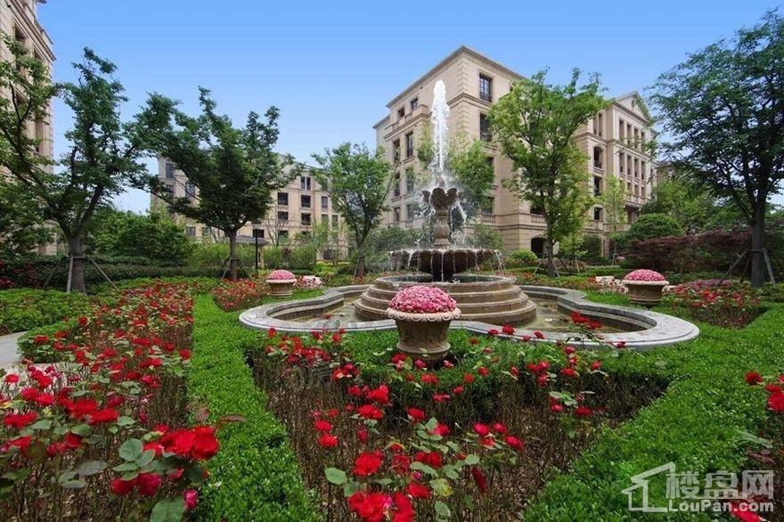 实景图