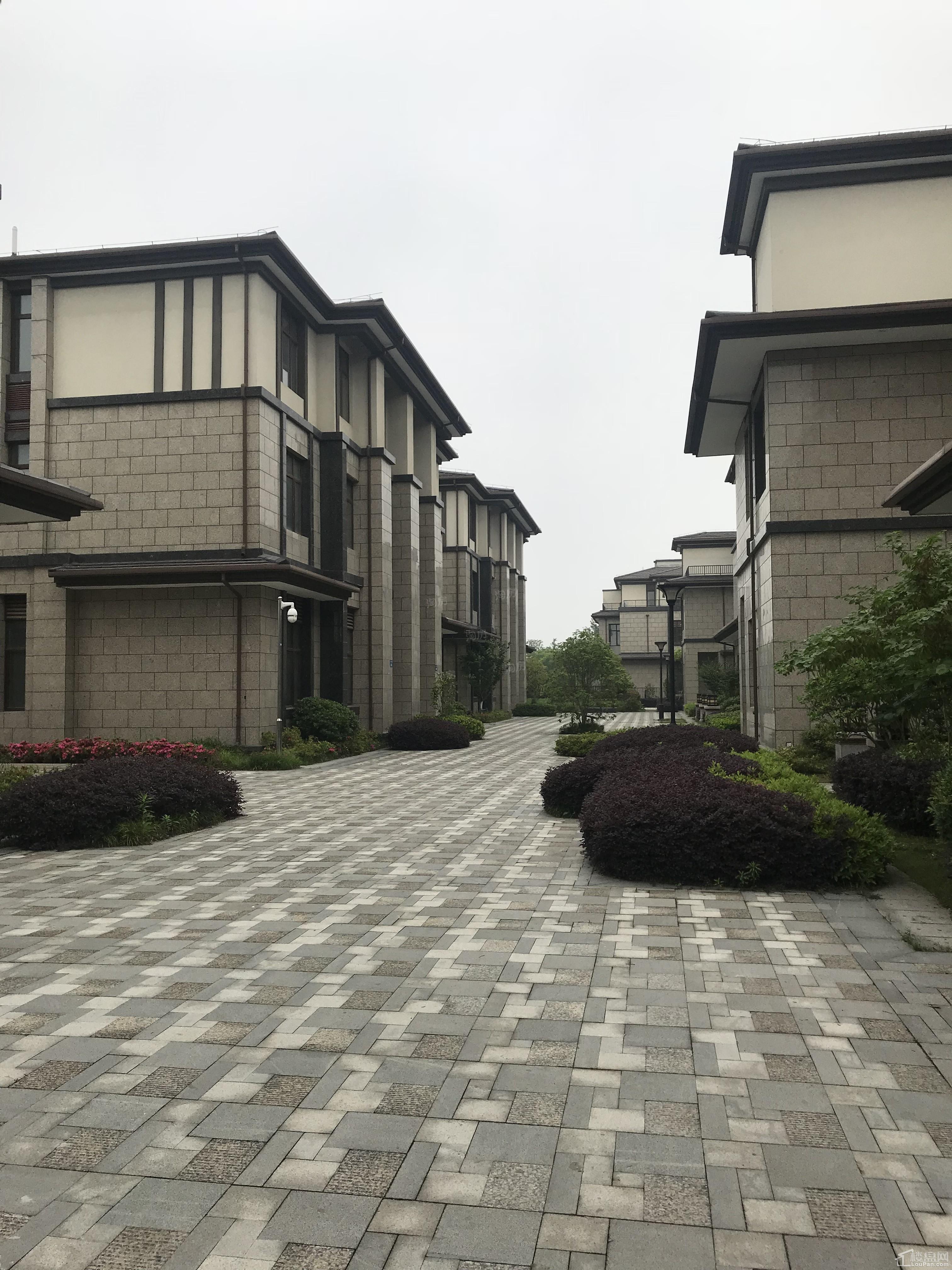 实景图