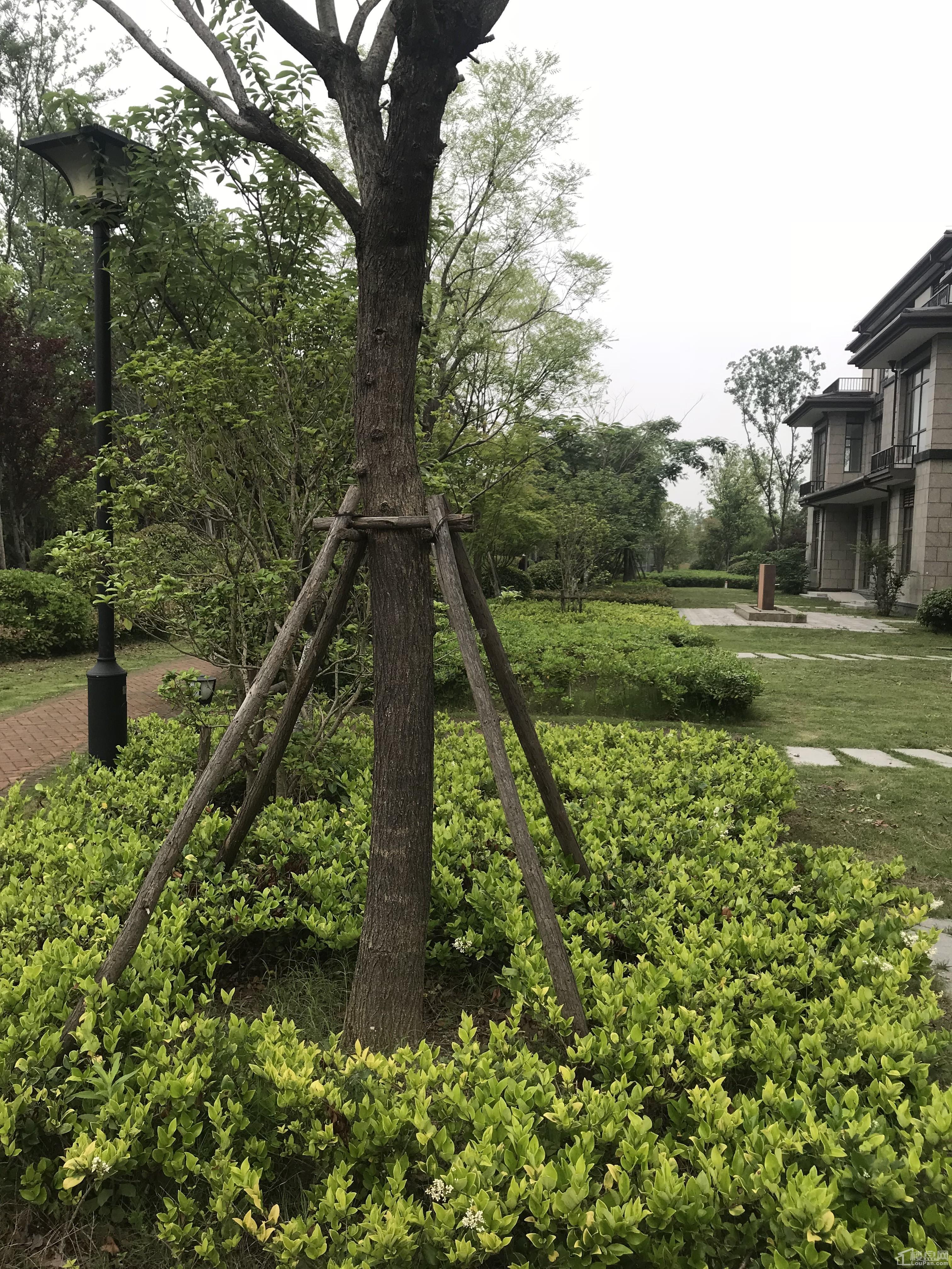 扬子颐和苑实景图