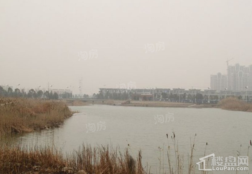 融湖雅墅实景图