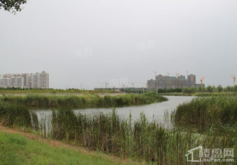 融湖雅墅实景图