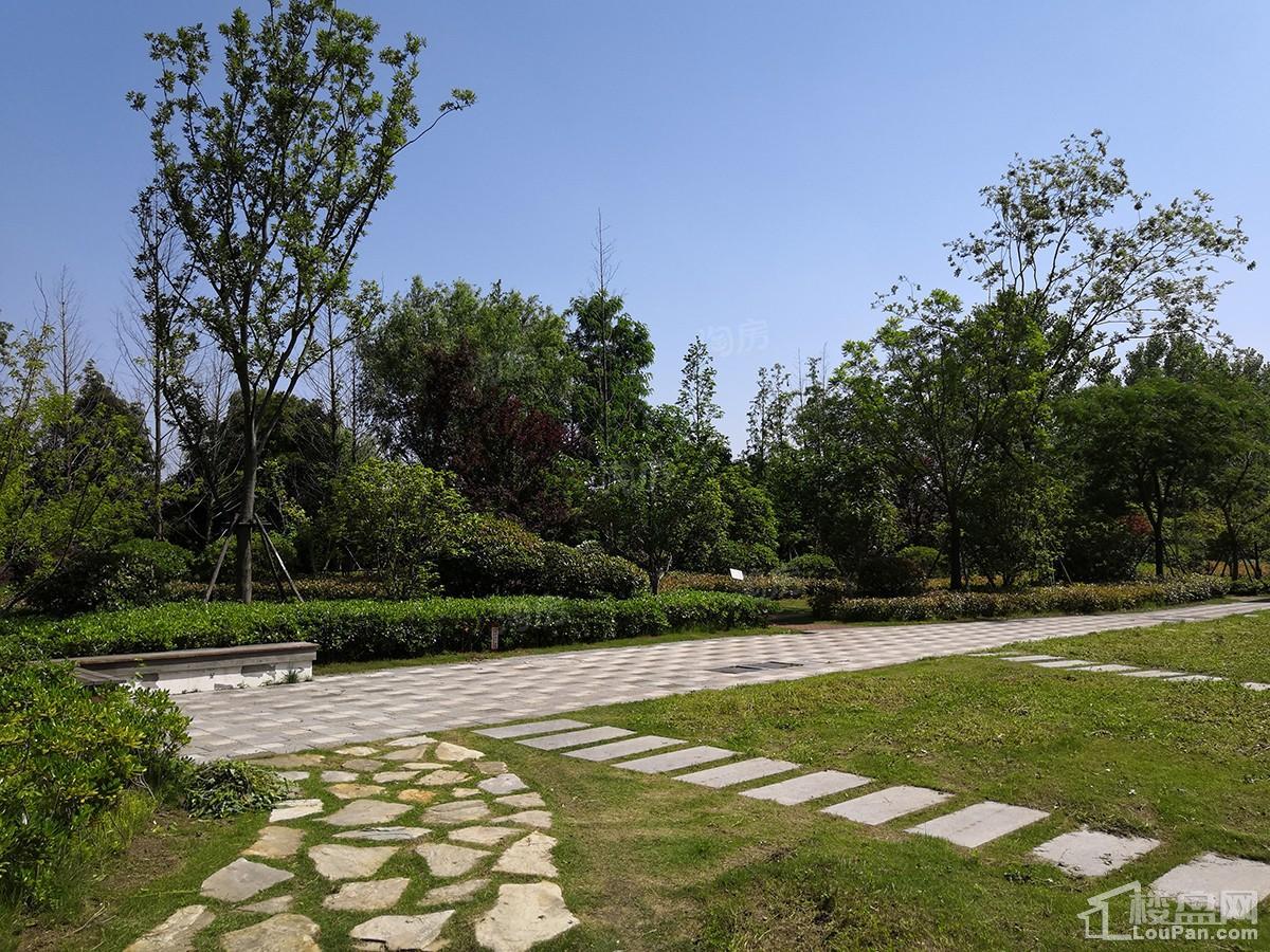 扬子颐和苑实景图