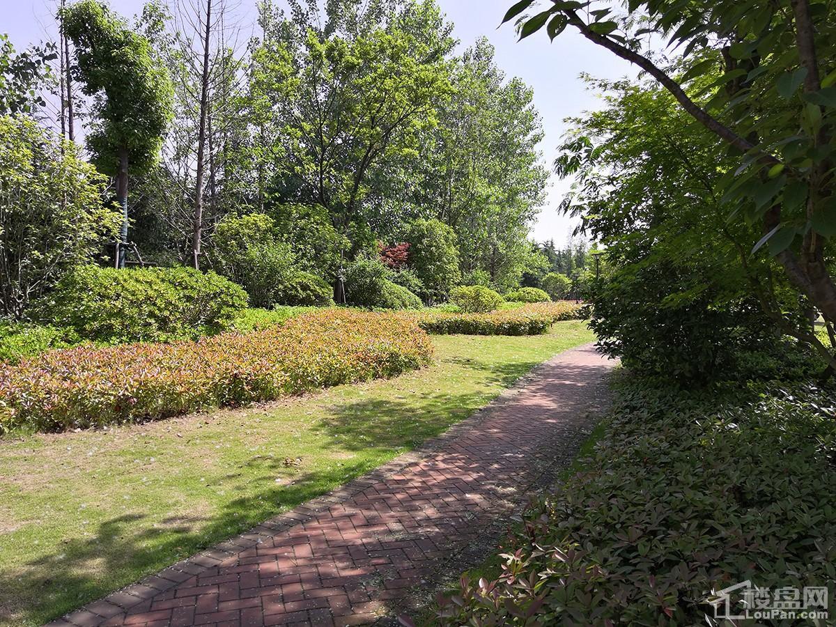 扬子颐和苑实景图
