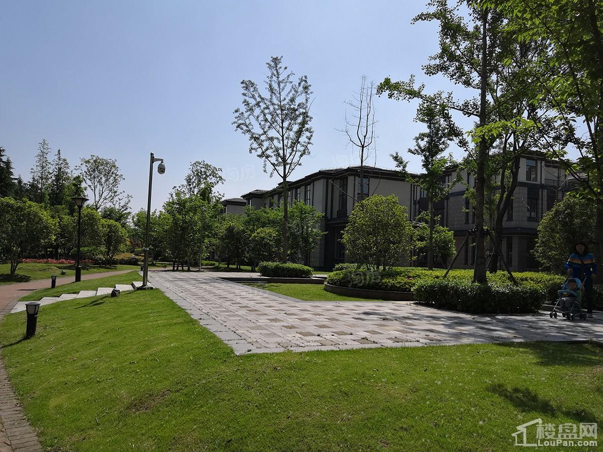 扬子颐和苑实景图