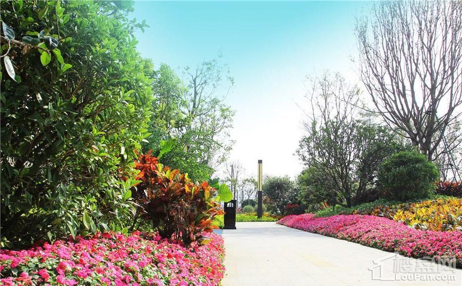 远洋繁花里实景图