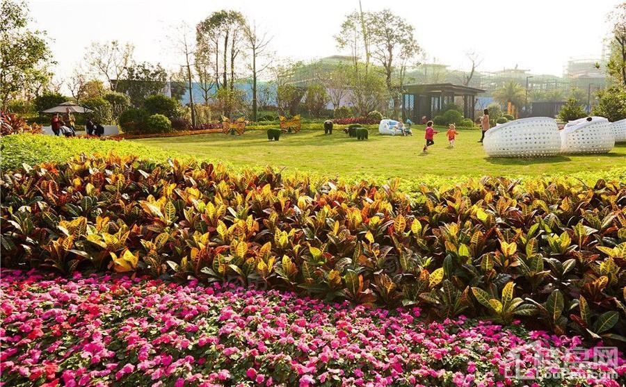 远洋繁花里实景图