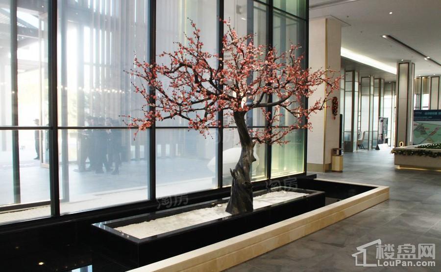 远洋繁花里实景图