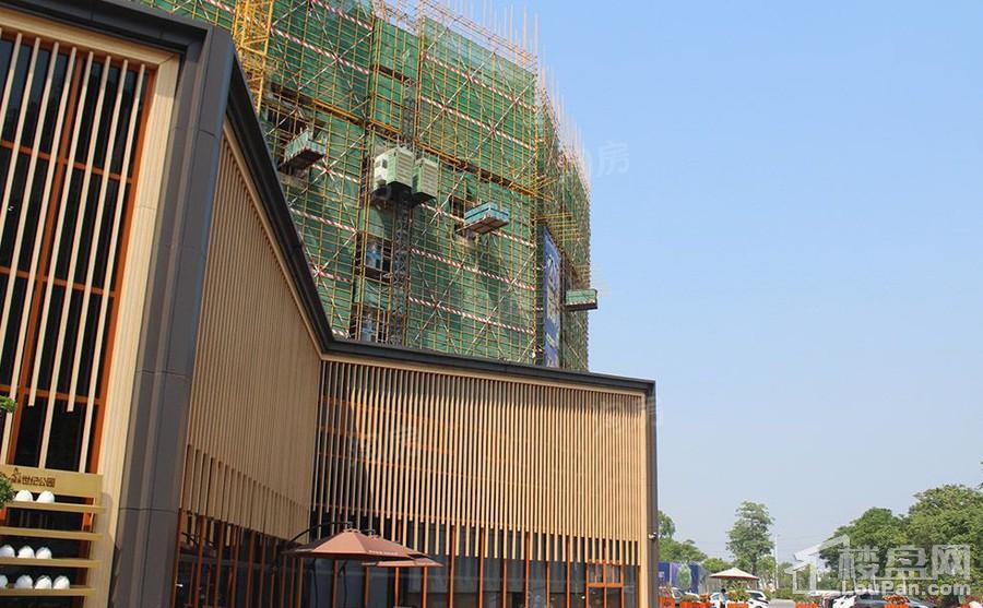上乘世纪公园实景图