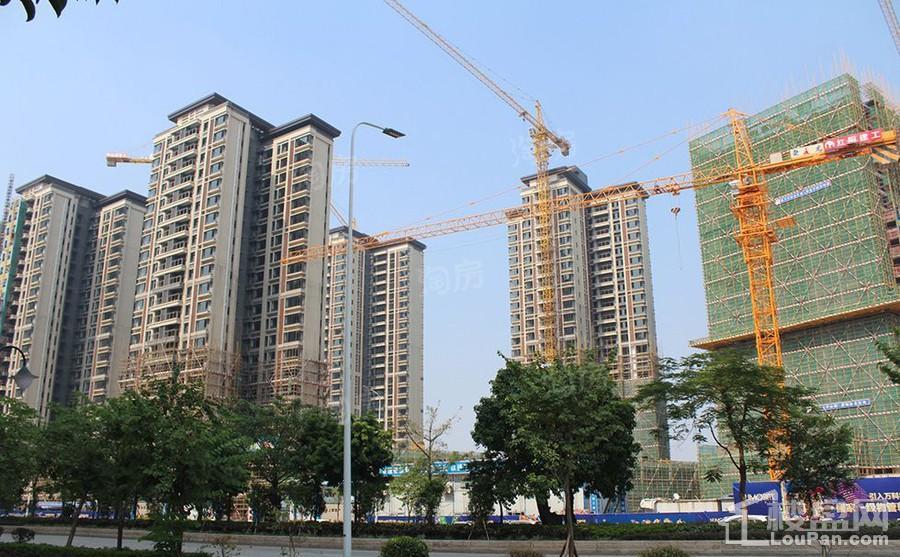 上乘世纪公园实景图