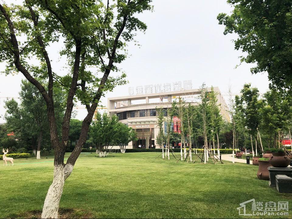 金辉优步湖畔实景图