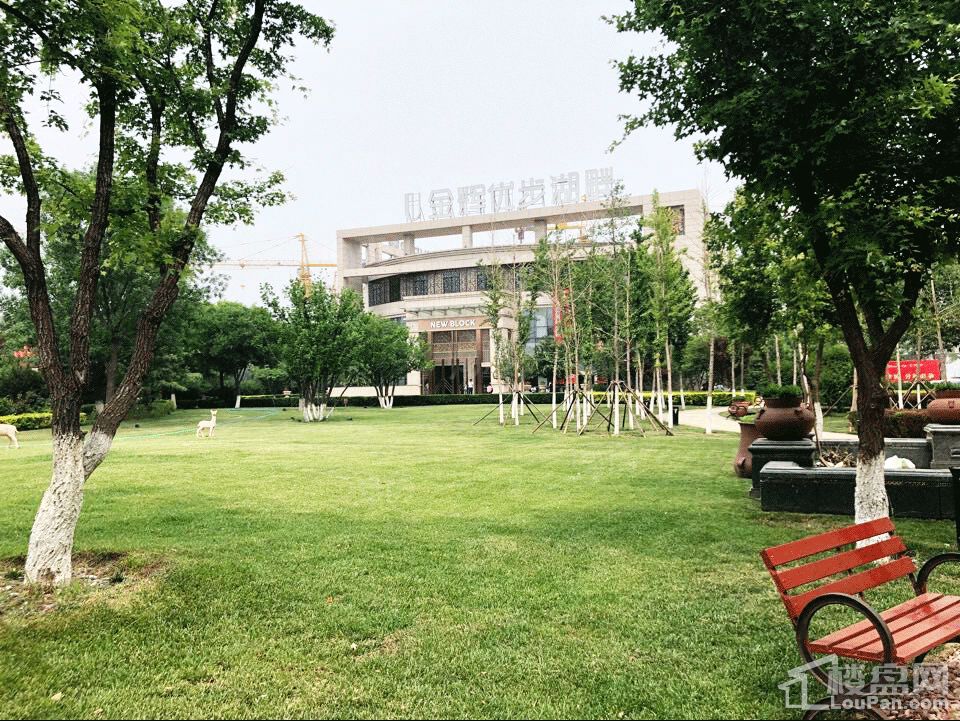 金辉优步湖畔实景图