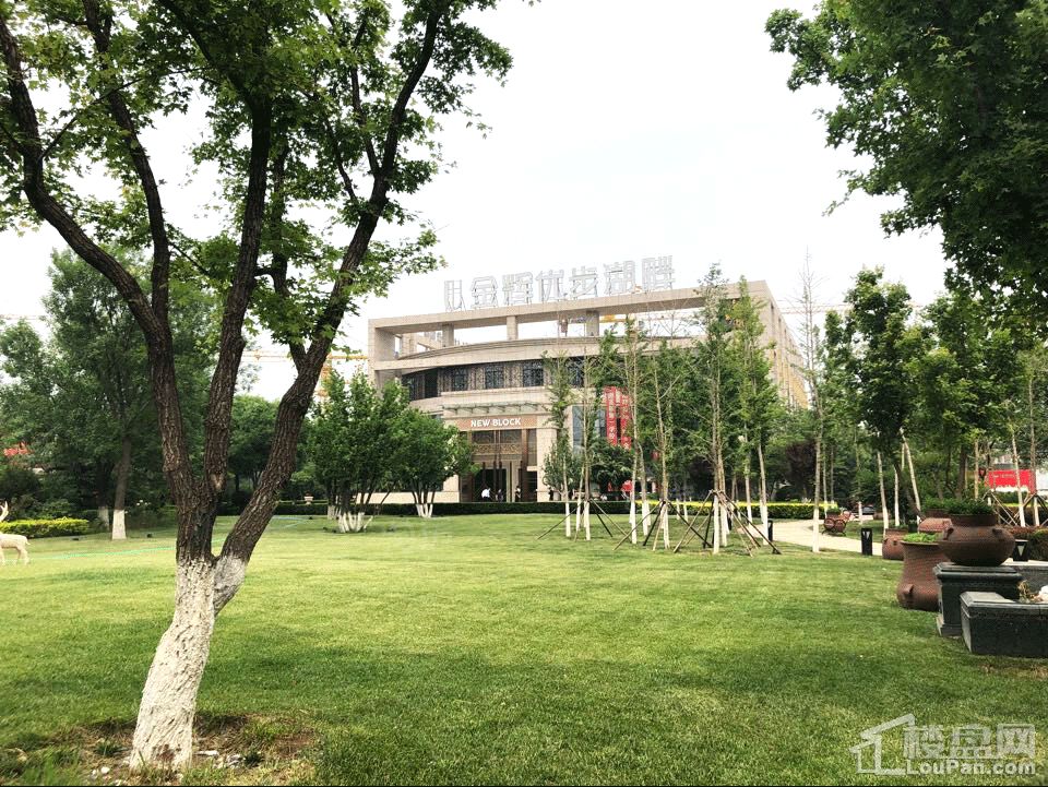金辉优步湖畔实景图