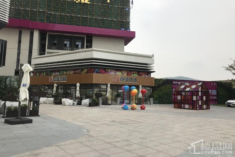 碧桂园·柏坦尼雅实景图