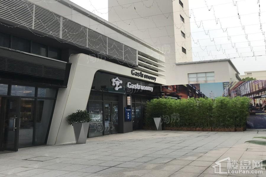 碧桂园·柏坦尼雅实景图