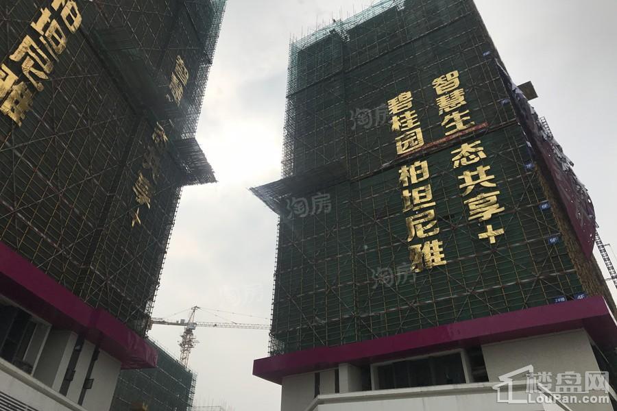碧桂园·柏坦尼雅实景图